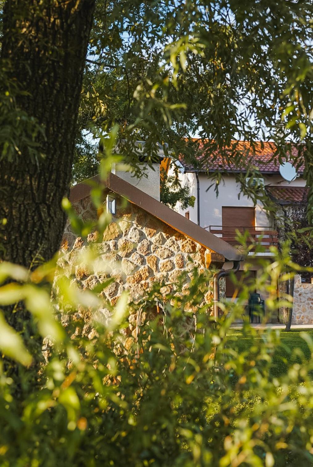 Villa Leko Dream House Cetina Exterior foto
